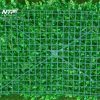 Tuong-cay-gia_0002-768×560 (1)